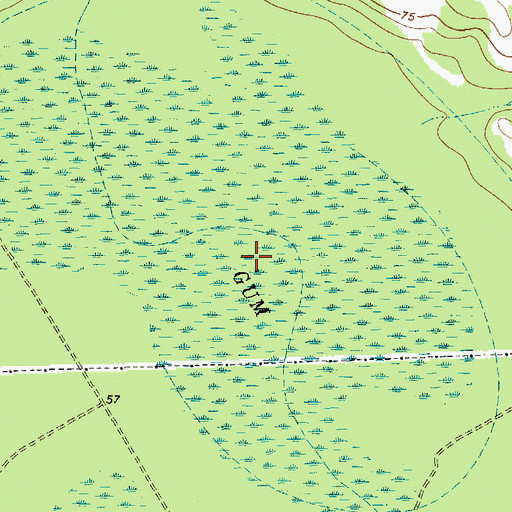 Topographic Map of Gum Swamp, SC