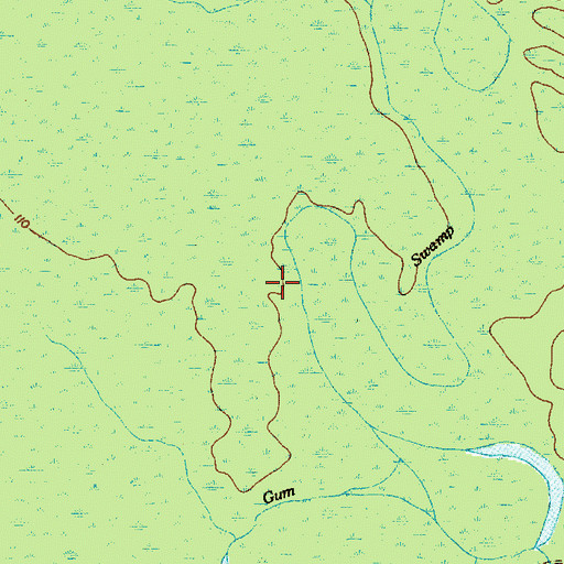 Topographic Map of Gum Swamp, SC