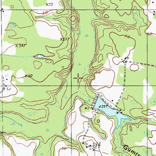 Topographic Map of Gumtree Branch, SC