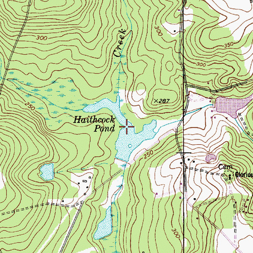 Topographic Map of Haithcock Pond, SC