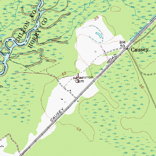 Topographic Map of Hammon Cemetery, SC