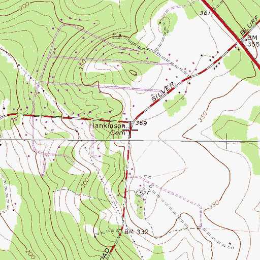 Topographic Map of Hankinson Cemetery, SC