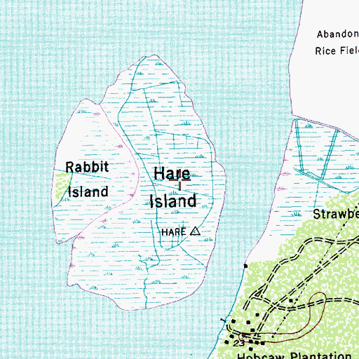Topographic Map of Hare Island, SC
