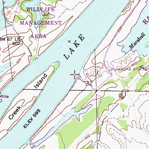 Topographic Map of Marshall Branch, AL