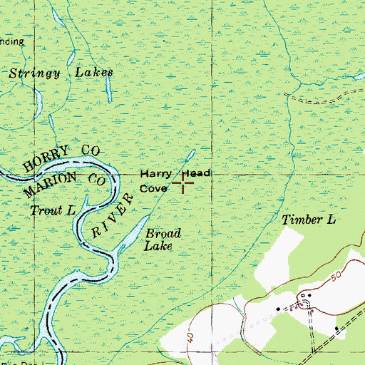 Topographic Map of Harry Head Cove, SC