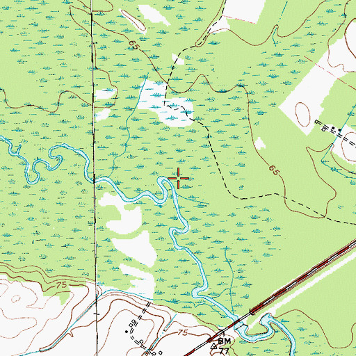 Topographic Map of Hayes Branch, SC