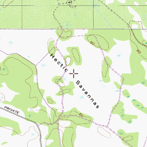 Topographic Map of Hectic Savannas, SC
