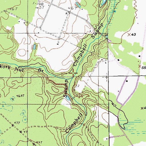 Topographic Map of Hickory Nut Branch, SC