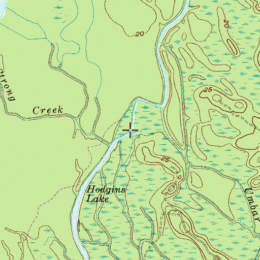 Topographic Map of Hodgins Lake, SC