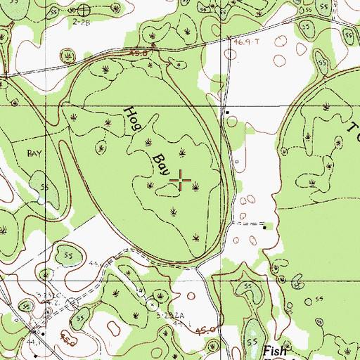 Topographic Map of Hog Bay, SC