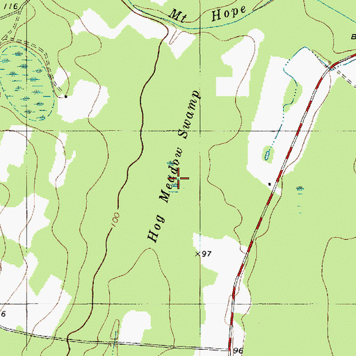 Topographic Map of Hog Meadow Swamp, SC