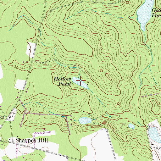 Topographic Map of Hollow Pond, SC