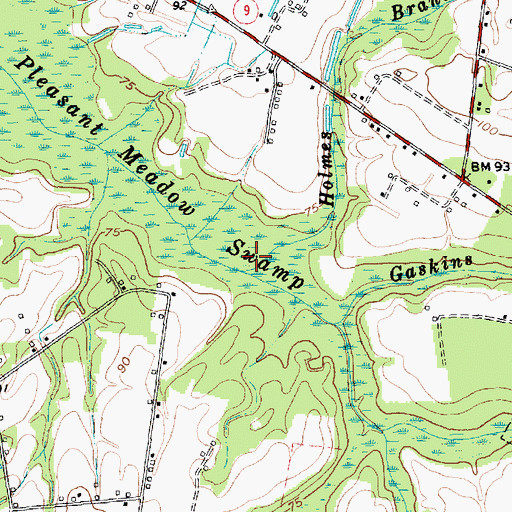 Topographic Map of Holmes Branch, SC