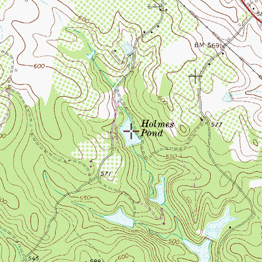 Topographic Map of Holmes Pond, SC