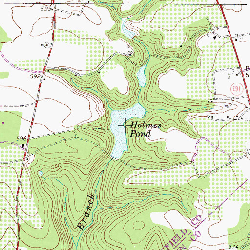 Topographic Map of Holmes Pond, SC