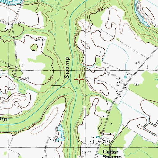 Topographic Map of Home Swamp, SC