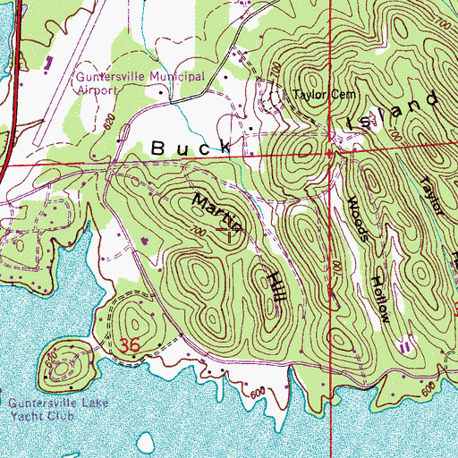 Topographic Map of Martin Hill, AL