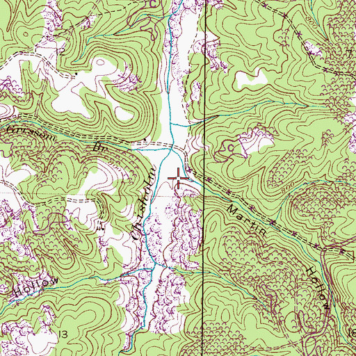 Topographic Map of Martin Hollow, AL