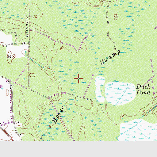 Topographic Map of Horse Swamp, SC