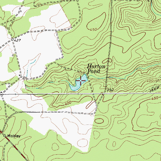 Topographic Map of Horton Pond, SC