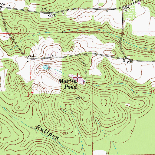 Topographic Map of Martin Pond, AL