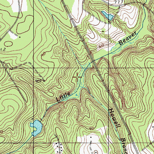 Topographic Map of Howell Branch, SC