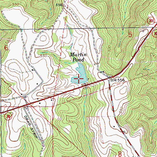 Topographic Map of Martin Pond, AL