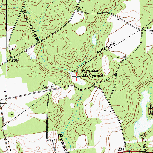 Topographic Map of Hyatts Millpond, SC