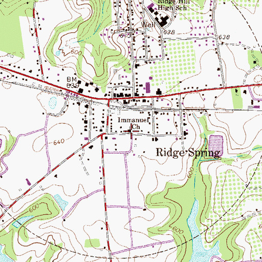 Topographic Map of Immanuel Church, SC