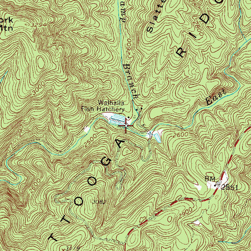 Topographic Map of Indian Camp Branch, SC