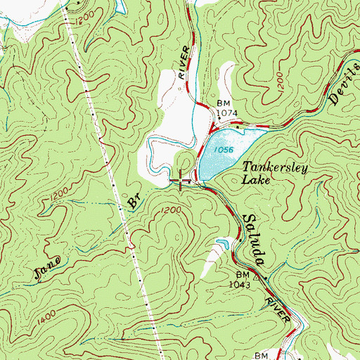 Topographic Map of Jane Branch, SC