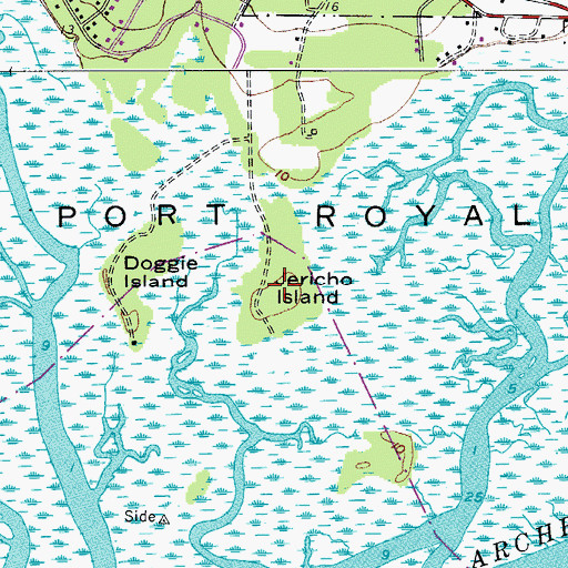 Topographic Map of Jericho Island, SC