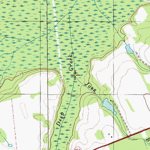 Topographic Map of Joes Branch, SC