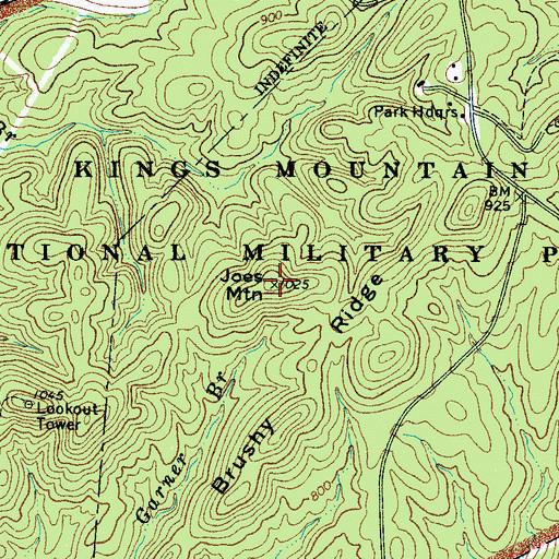 Topographic Map of Joes Mountain, SC
