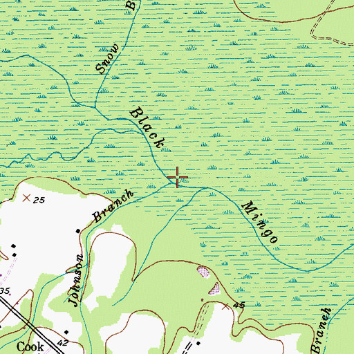 Topographic Map of Johnson Branch, SC
