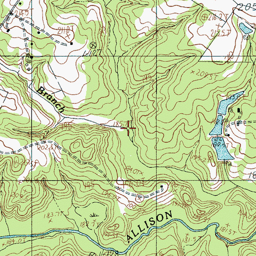Topographic Map of Johnson Branch, SC