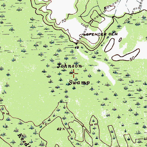Topographic Map of Johnson Swamp, SC