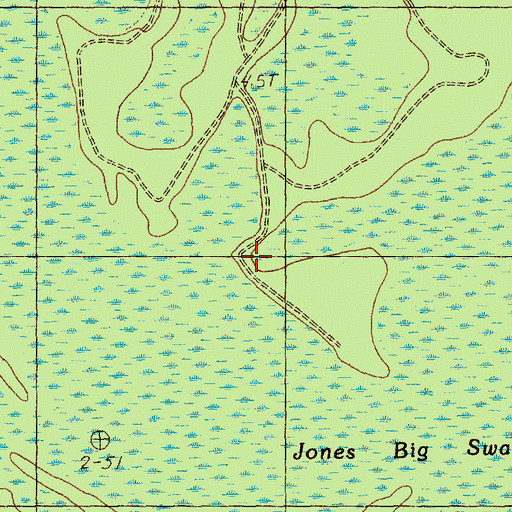 Topographic Map of Jones Big Swamp, SC