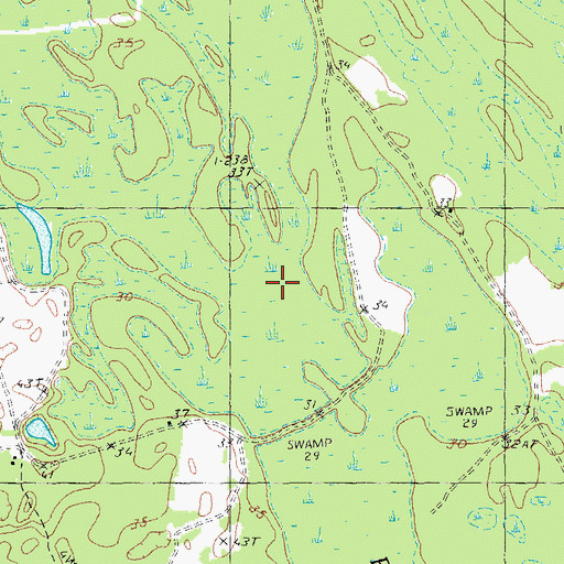 Topographic Map of Jones Swamp, SC