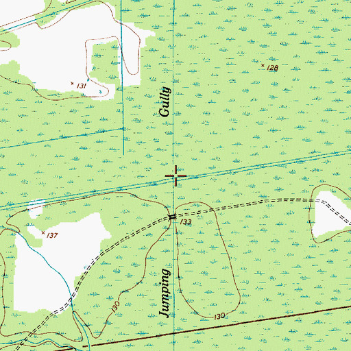 Topographic Map of Jumping Gully, SC