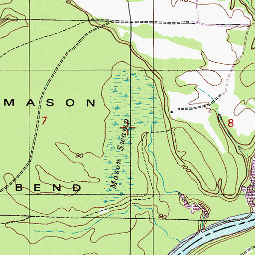 Topographic Map of Mason Swamp, AL