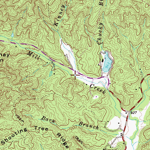 Topographic Map of Kinney Branch, SC