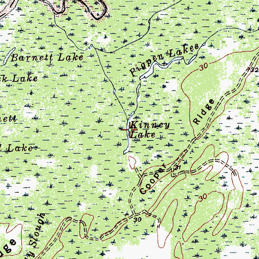 Topographic Map of Kinney Lake, SC