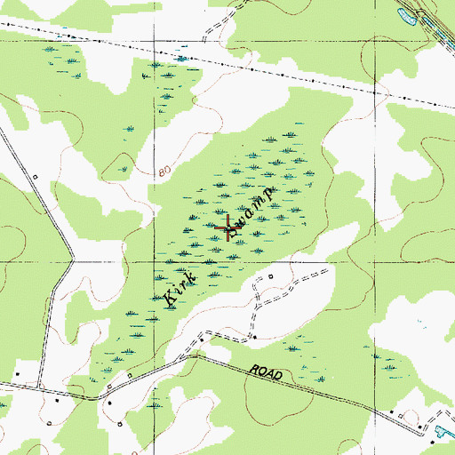 Topographic Map of Kirk Swamp, SC