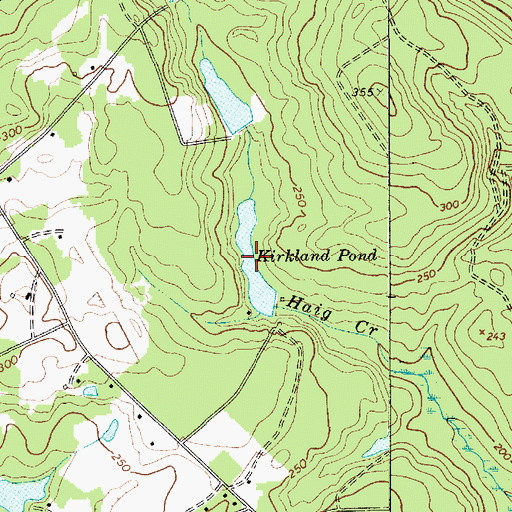 Topographic Map of Kirkland Pond, SC