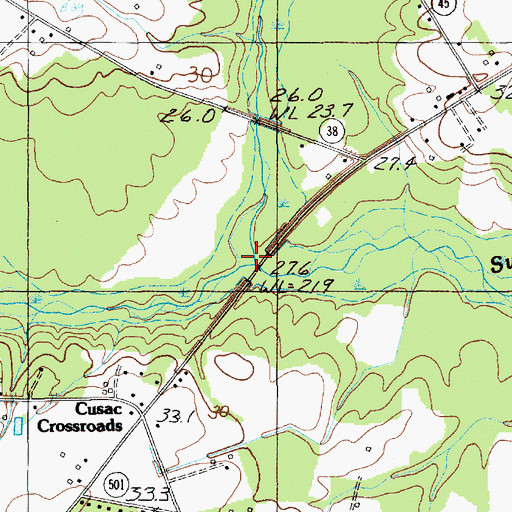 Topographic Map of Lake Swamp, SC