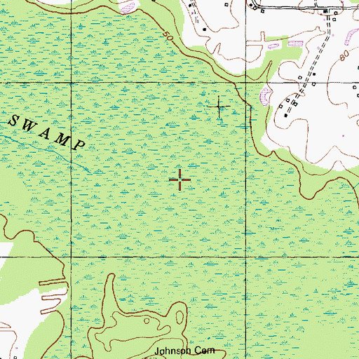 Topographic Map of Lake Swamp, SC