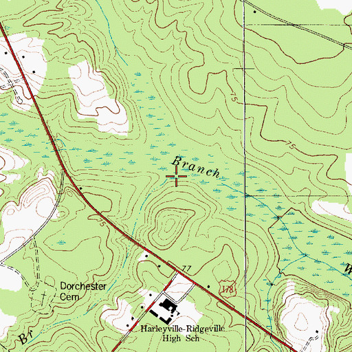 Topographic Map of Lang Branch, SC