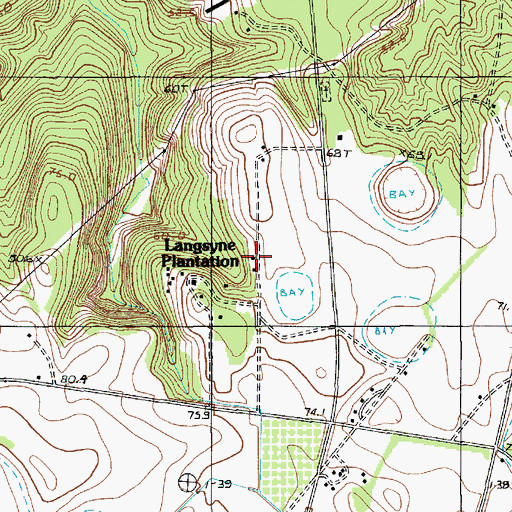Topographic Map of Langsyne Plantation, SC