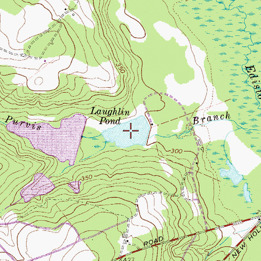 Topographic Map of Laughlin Pond, SC